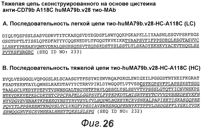 Анти-cd79b антитела и иммуноконъюгаты и способы их применения (патент 2553566)