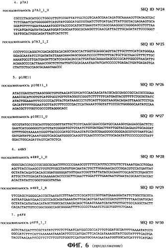 Vgc2 днк salmonella typhimurium, мутантная бактерия, обладающая пониженной способностью к адаптации к условиям окружающей среды, и способ ее получения (патент 2370541)