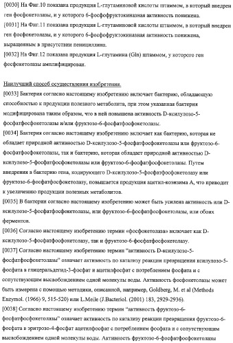 Использование фосфокетолазы для продукции полезных метаболитов (патент 2322496)