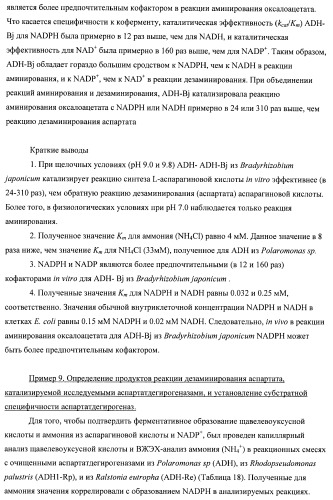 Бактерия семейства enterobacteriaceae - продуцент l-аспарагиновой кислоты или метаболитов, производных l-аспарагиновой кислоты, и способ получения l-аспарагиновой кислоты или метаблитов, производных l-аспарагиновой кислоты (патент 2472853)