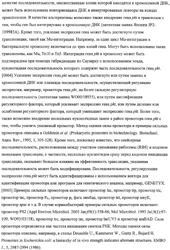 Использование фосфокетолазы для продукции полезных метаболитов (патент 2322496)