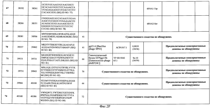 Бактериофаг, обладающий активностью против pseudomonas aeruginosa, белки бактериофага и способы их применения (патент 2580248)