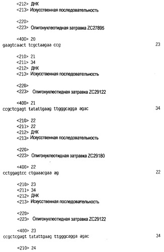 Новый лиганд рецептора цитокина zcytor17 (патент 2360923)