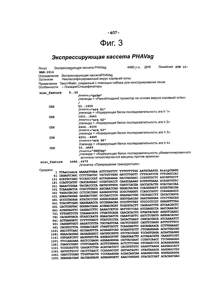 Иммунная модуляция (патент 2662927)