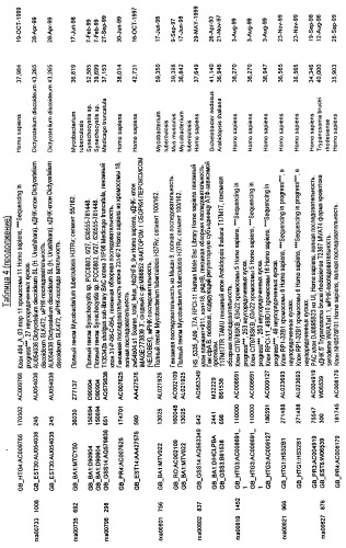 Гены corynebacterium glutamicum, кодирующие белки, участвующие в синтезе мембран и мембранном транспорте (патент 2312145)