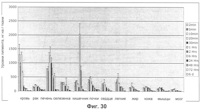 Водорастворимые анионсодержащие производные бактериохлорофилла и их применение (патент 2353624)