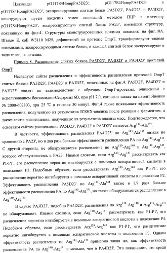 Способ расщепления полипептидов с использованием варианта протеазы оmpт (патент 2395582)