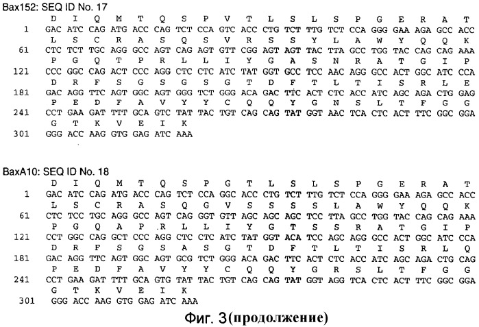 Анти-mif антитела (патент 2509777)