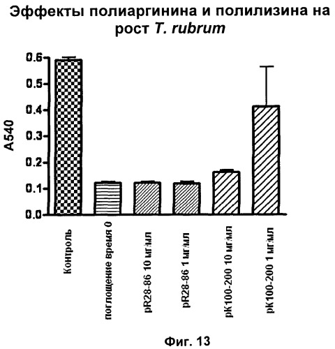 Противомикробные пептиды, содержащие аргинин- и лизинсодержащий мотив (патент 2396273)