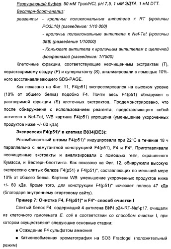 Вакцина для предупреждения и лечения вич-инфекции (патент 2441878)