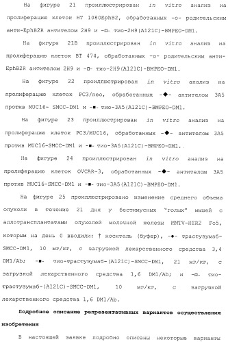 Антитела, сконструированные на основе цистеинов, и их конъюгаты (патент 2412947)