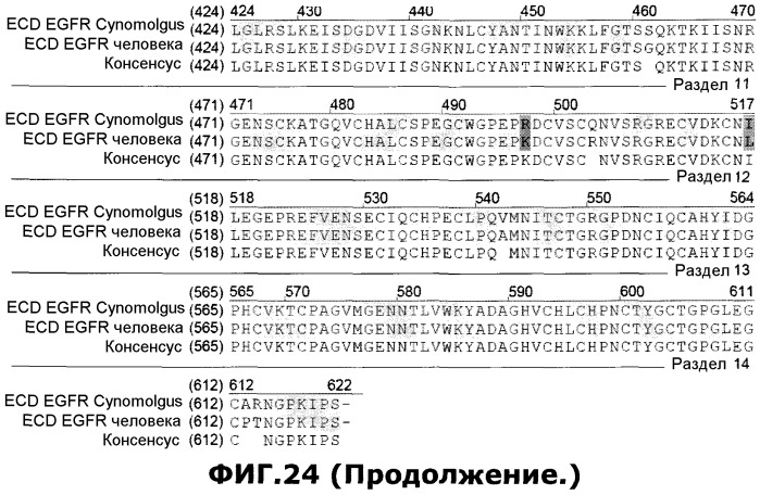 Композиции рекомбинантных антител против рецептора эпидермального фактора роста (патент 2488596)