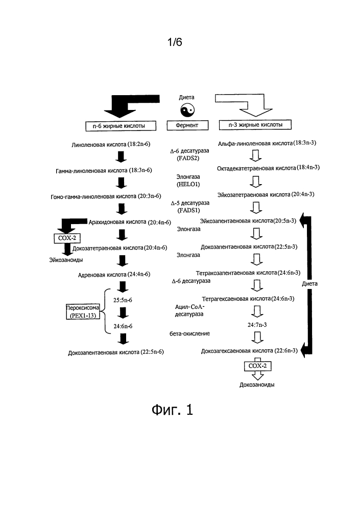 Сочетанное применение epa, dpa и dha с химиопрепаратом (патент 2637406)