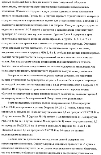 Поливалентные иммуногенные композиции pcv2 и способы получения таких композиций (патент 2488407)