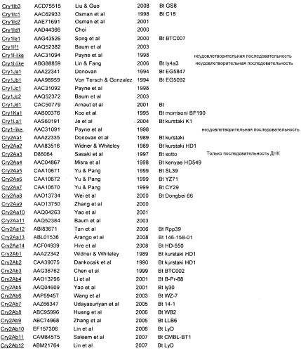 Контроль устойчивости насекомых с помощью комбинации белков cry1be и cry1f (патент 2575611)