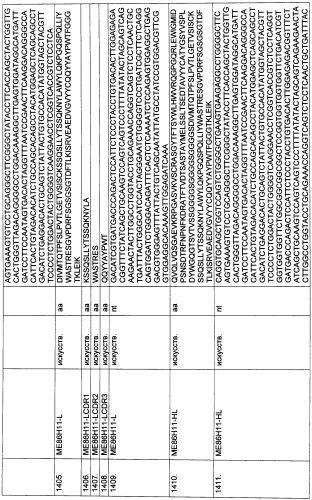 Pscaxcd3, cd19xcd3, c-metxcd3, эндосиалинxcd3, epcamxcd3, igf-1rxcd3 или fap-альфаxcd3 биспецифическое одноцепочечное антитело с межвидовой специфичностью (патент 2547600)