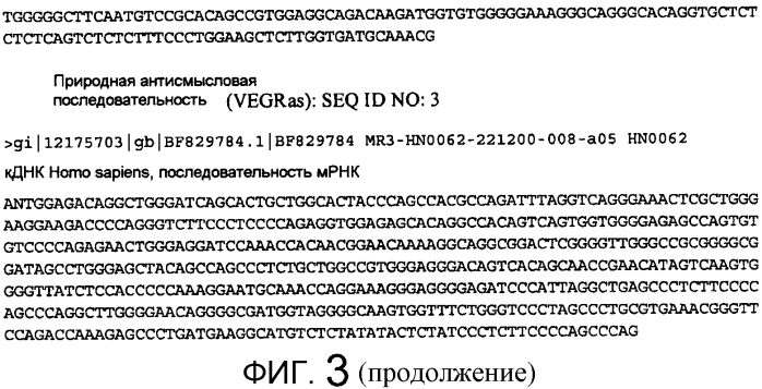 Лечение заболеваний, связанных с фактором роста эндотелия сосудов (vegf), посредством ингибирования природного антисмыслового транскрипта к vegf (патент 2569182)
