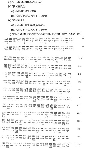 Очищенные белки оболочки вируса гепатита с для диагностического и терапевтического применения (патент 2313363)