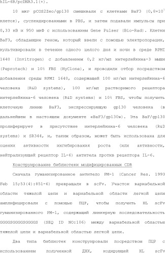 Способ модификации изоэлектрической точки антитела с помощью аминокислотных замен в cdr (патент 2510400)