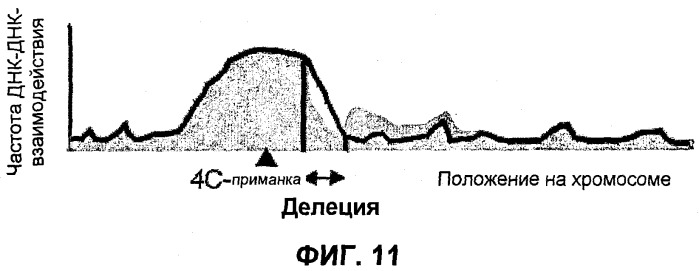 Улавливание и характеристика совместно локализованного хроматина (патент 2478716)