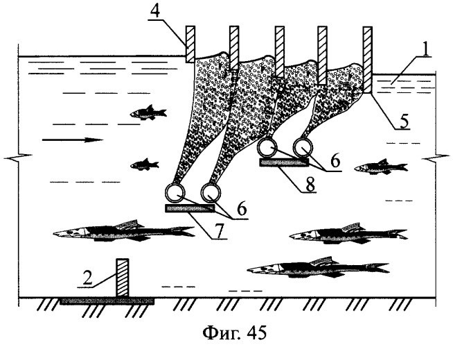 Рыбоход (варианты) (патент 2249653)
