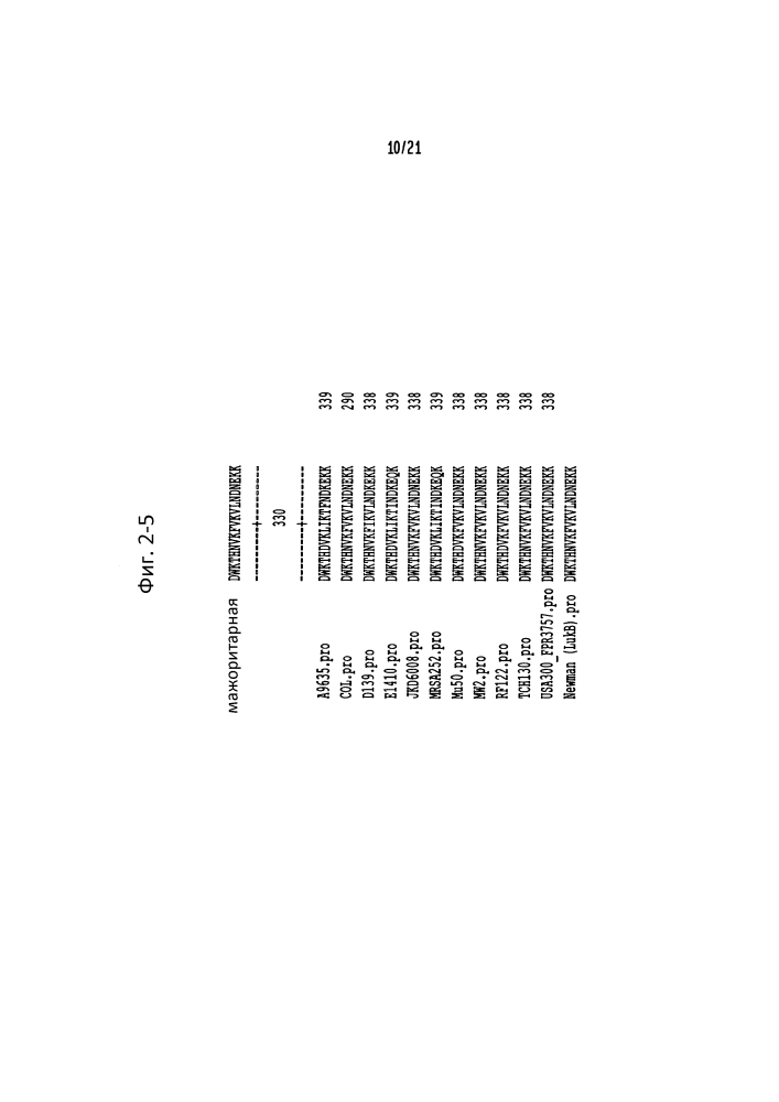 Лейкоцидины staphylococcus aureus, терапевтические композиции и их применение (патент 2644237)