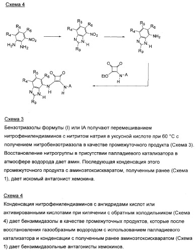 3,4-дизамещенные циклобутен-1,2-дионы как лиганды схс-хемокинового рецептора (патент 2344123)