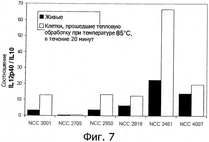 Кратковременная высокотемпературная обработка для микробных препаратов с противовоспалительными свойствами (патент 2542413)