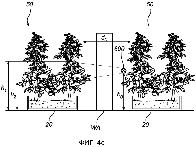 Оптическое устройство, осветительное устройство и система для освещения межлистового полога растений (патент 2575016)