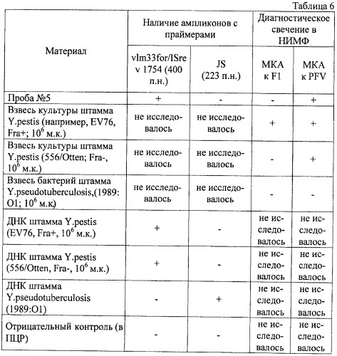 Способ идентификации штаммов вида yersinia pestis и yersinia pseudotuberculosis (патент 2422535)