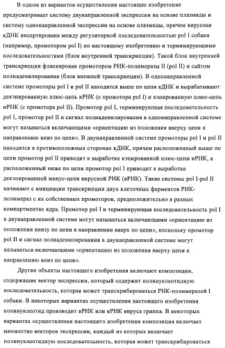 Способы и композиции для экспрессии антисмысловой вирусной рнк в клетках собаки (патент 2457250)