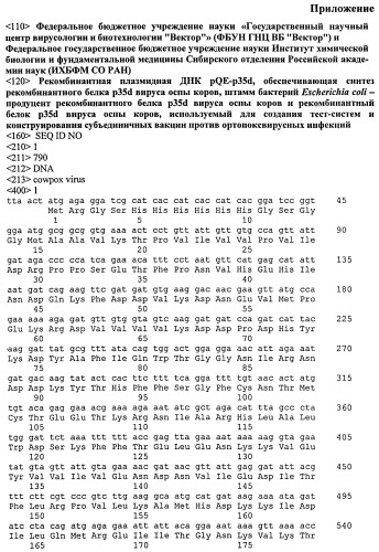 Рекомбинантная плазмидная днк pqe-p35d, обеспечивающая синтез рекомбинантного белка p35d вируса оспы коров, штамм бактерий escherichia coli - продуцент рекомбинантного белка p35d вируса оспы коров и рекомбинантный белок p35d вируса оспы коров, используемый для создания тест-систем и конструирования субъединичных вакцин против ортопоксвирусных инфекций (патент 2511037)