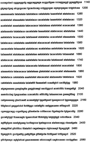 Днк, повышающая продуцирование белка, и ее применение (патент 2375450)