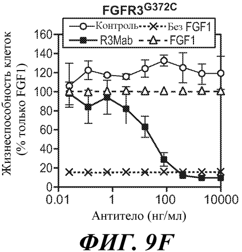 Антитела против fgfr3 и способы их применения (патент 2568066)