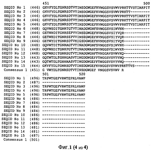 Варианты альфа-амилазы с измененными свойствами (патент 2499044)