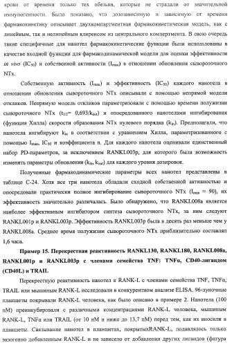 Аминокислотные последовательности, направленные на rank-l, и полипептиды, включающие их, для лечения заболеваний и нарушений костей (патент 2481355)