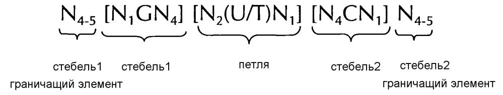 Нуклеиновая кислота, содержащая или кодирующая структуру "стебель-петля" гистонов и последовательность поли(а) или сигнал полиаденилирования, для повышения экспрессии кодируемого терапевтического белка (патент 2634391)