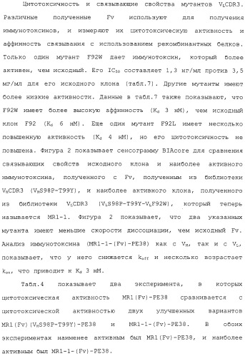 Scfv против egfrviii с улучшенной цитотоксичностью и выходом, иммунотоксины на их основе и способы их применения (патент 2317999)