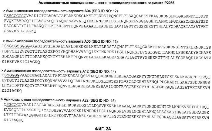 Нелипидизированные варианты антигенов neisseria meningitidis orf2086 (патент 2546873)