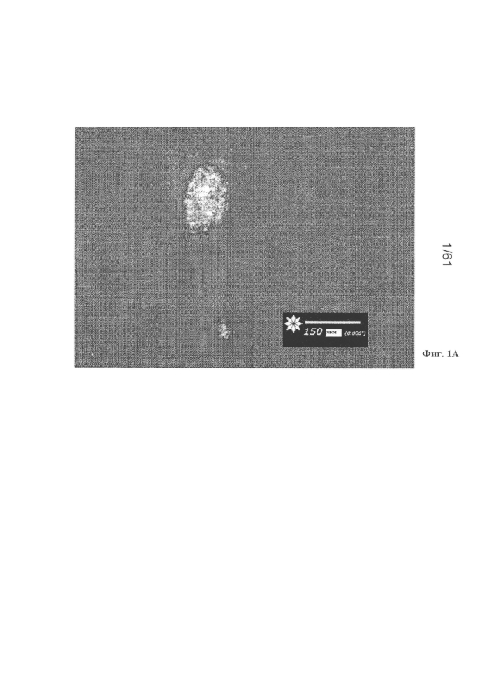 Химическое удаление поверхностных дефектов с текстурированной электротехнической стали (патент 2604077)