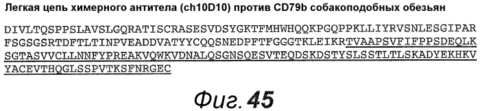 Анти-cd79b антитела и иммуноконъюгаты и способы их применения (патент 2553566)
