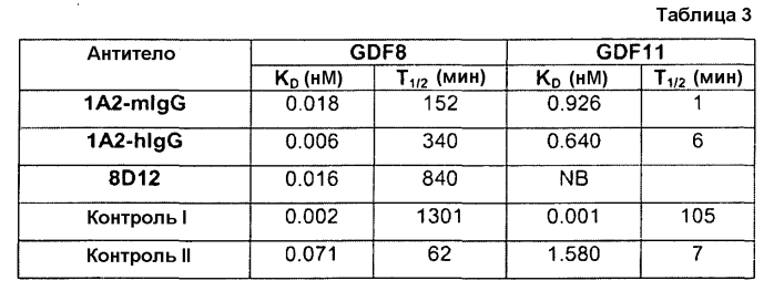 Антитела против gdf8 человека (патент 2567805)