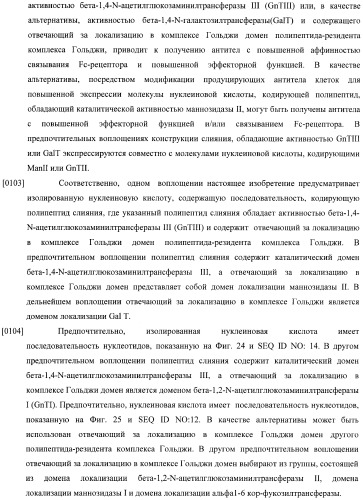 Конструкции слияния и их применение для получения антител с повышенными аффинностью связывания fc-рецептора и эффекторной функцией (патент 2407796)