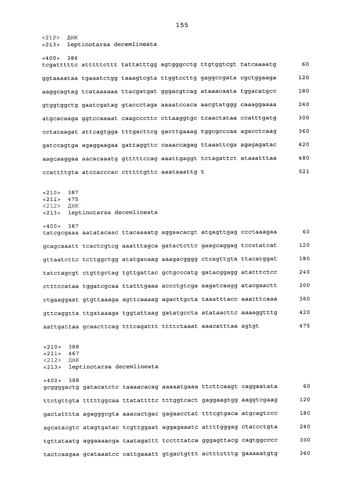 Подавление экспрессии генов у насекомых-вредителей (патент 2619219)
