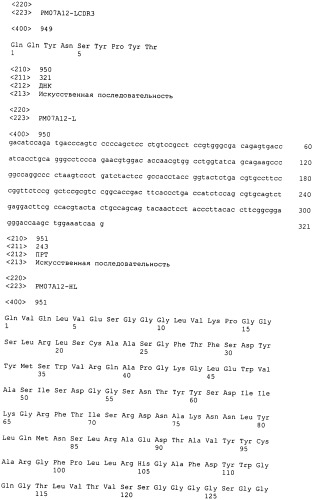 Psma×cd3 биспецифическое одноцепочечное антитело с межвидовой специфичностью (патент 2559531)