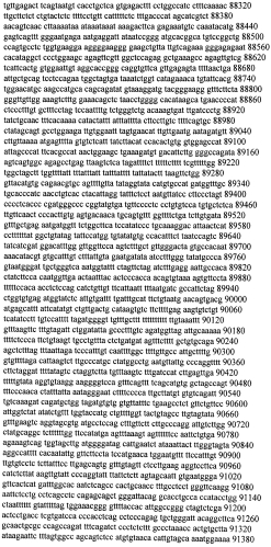 Модуляция экспрессии гентингтина (патент 2562861)