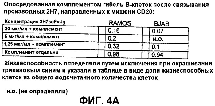 Слитые белки связывающий домен-иммуноглобулин (патент 2420537)