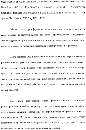 Растения с повышенной урожайностью и способ их получения (патент 2377306)