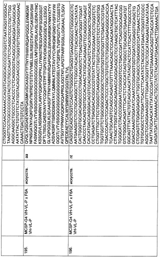 Psma×cd3 биспецифическое одноцепочечное антитело с межвидовой специфичностью (патент 2559531)