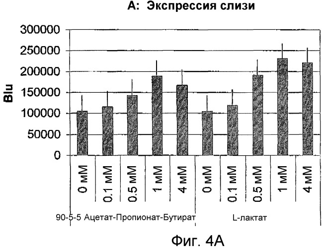 Применение смеси транс-галакто-олигосахаридов и инулина (патент 2402929)